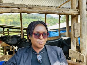Rwandan Dairy Farmer Expands from One Cow to 17 as Insurance Supports Growth