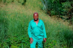 A Quiet Shift in Eastern Rwanda: Dairy Farmers See Results from Better Feeding