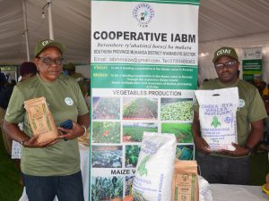 New Skills, Better Harvests: How Rwandan Farmers Are Growing with CDAT