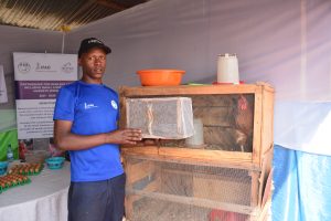 Gicumbi farmer finds a new way to make animal feed as black soldier flies offer a cheaper option