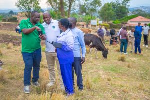 Rwanda Prepares Nationwide Digital Livestock Registration to Boost Traceability and Animal Health